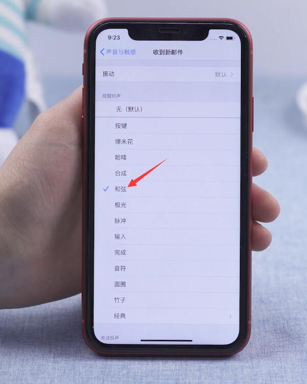 苹果微信声音怎么改换(6)