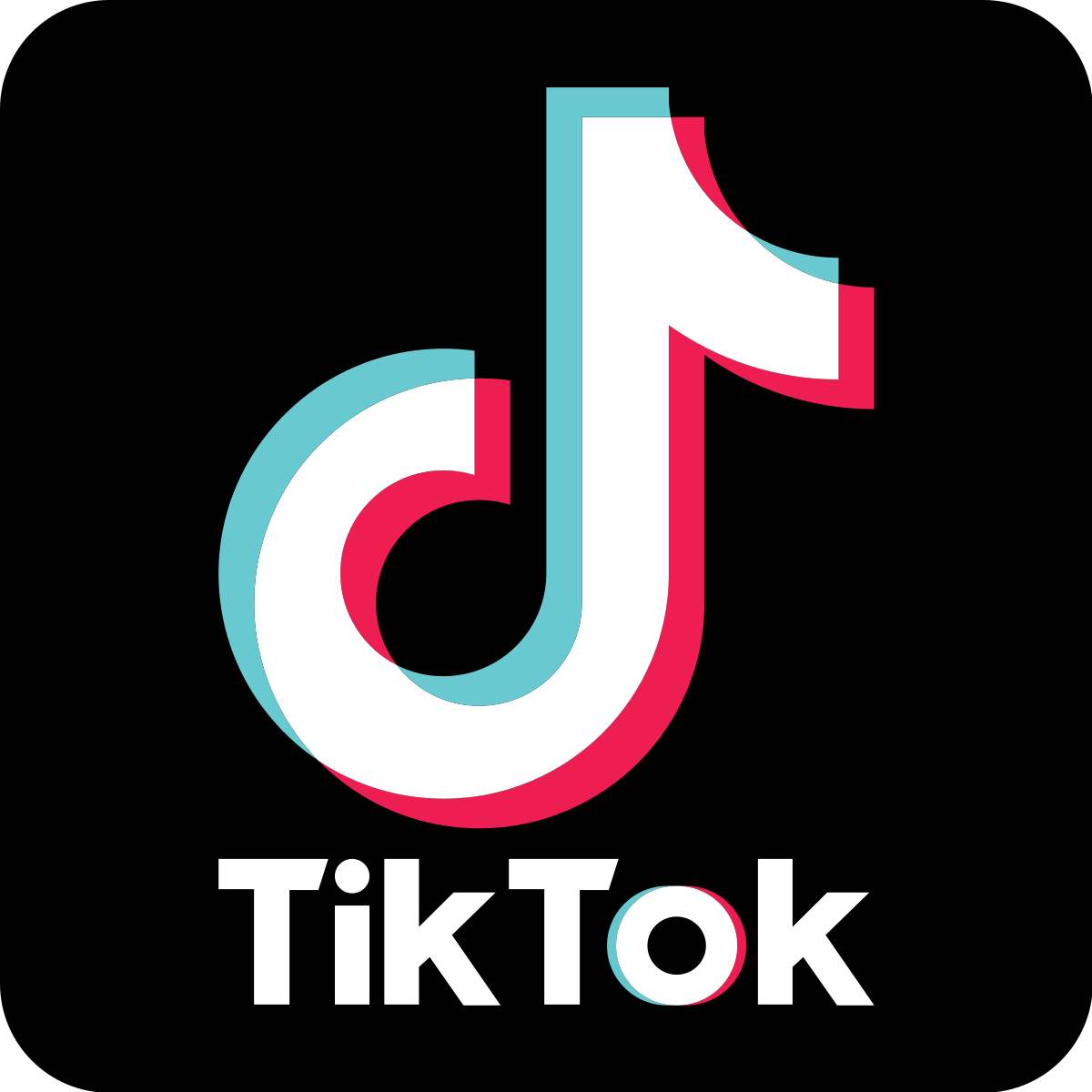 tiktok什么软件(2)