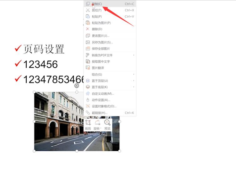 ppt里的图片怎么复制(2)