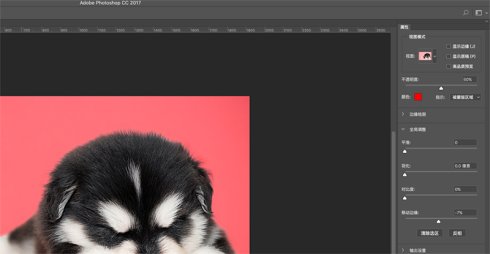 Photoshop CC 2019