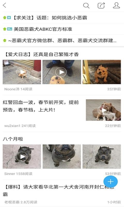 猛犬俱乐部