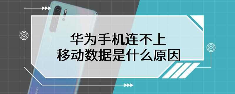 华为手机连不上移动数据是什么原因