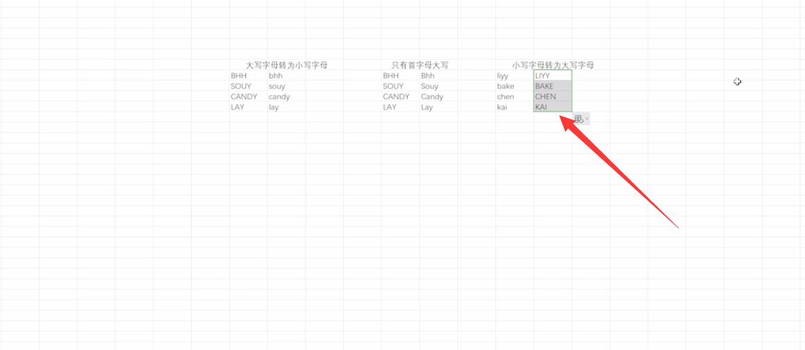 怎么转变excel的英文字母大小写(8)