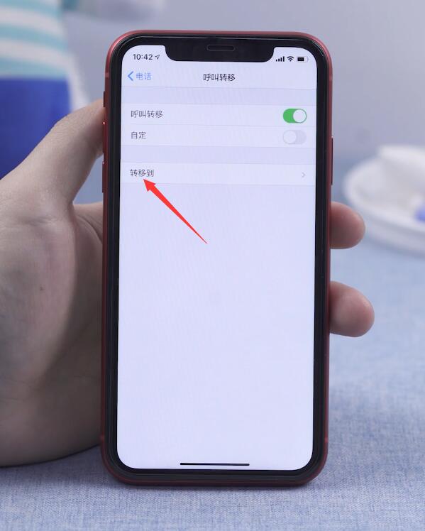 苹果手机呼叫转移怎么设置(4)