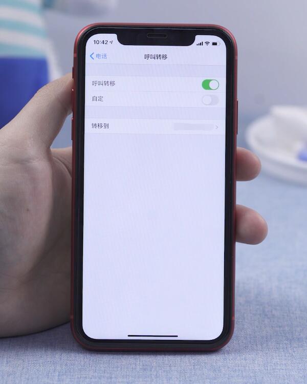 苹果手机呼叫转移怎么设置(6)