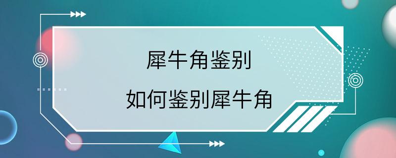 犀牛角鉴别 如何鉴别犀牛角