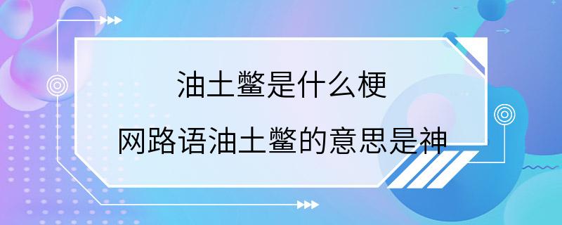 油土鳖是什么梗 网路语油土鳖的意思是神