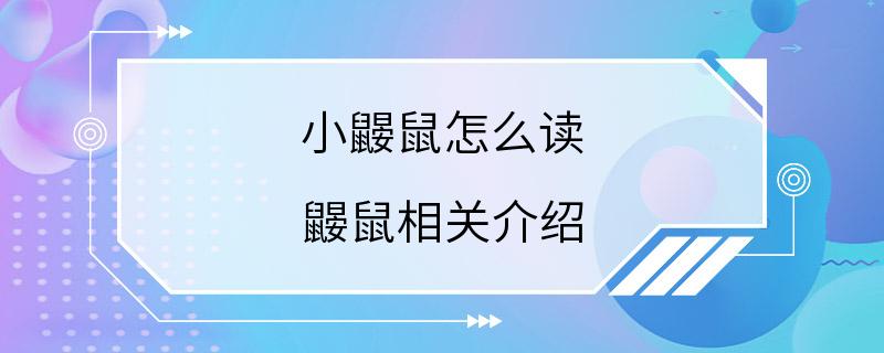 小鼹鼠怎么读 鼹鼠相关介绍