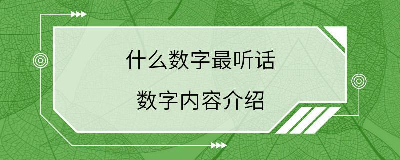 什么数字最听话 数字内容介绍