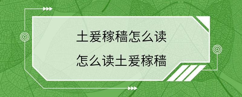 土爰稼穑怎么读 怎么读土爰稼穑