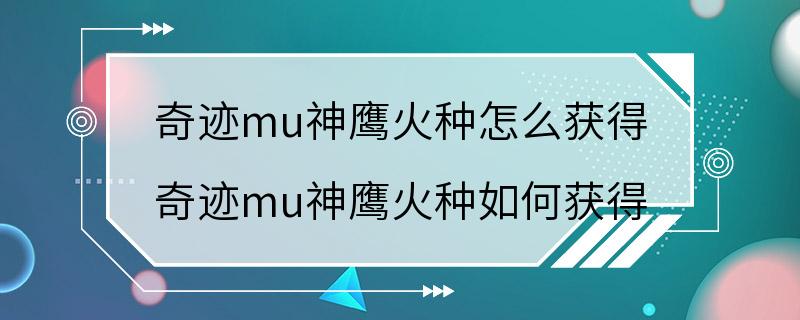 奇迹mu神鹰火种怎么获得 奇迹mu神鹰火种如何获得