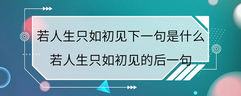 若人生只如初见下一句是什么 若人生只如初见的后一句