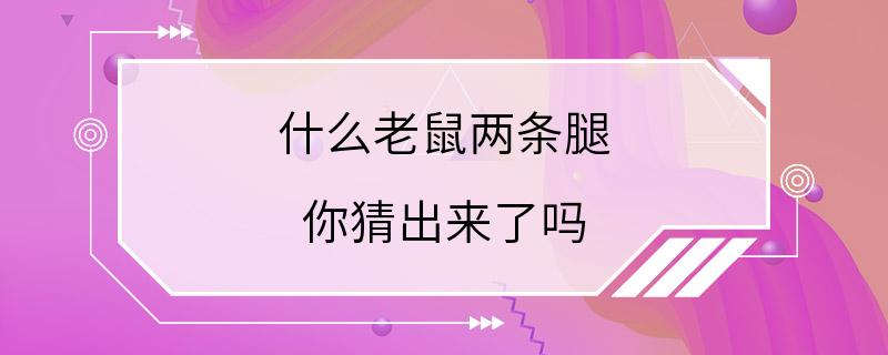 什么老鼠两条腿 你猜出来了吗