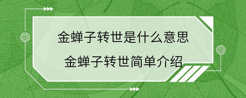 金蝉子转世是什么意思 金蝉子转世简单介绍