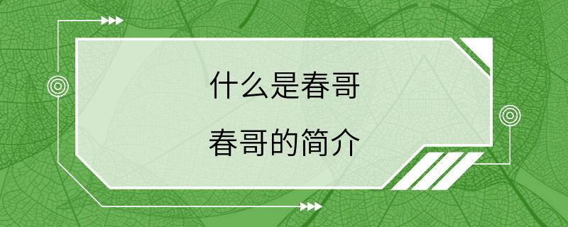 什么是春哥 春哥的简介