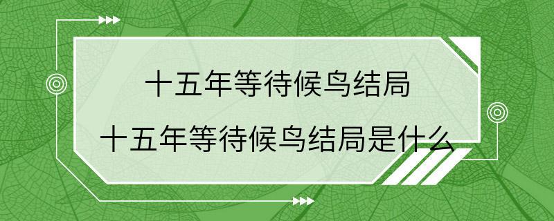 十五年等待候鸟结局 十五年等待候鸟结局是什么