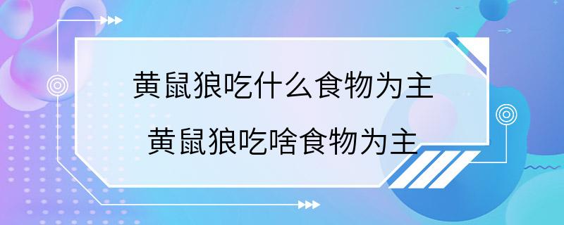 黄鼠狼吃什么食物为主 黄鼠狼吃啥食物为主