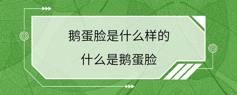 鹅蛋脸是什么样的 什么是鹅蛋脸