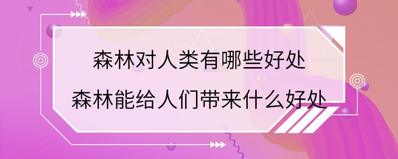 森林对人类有哪些好处 森林能给人们带来什么好处