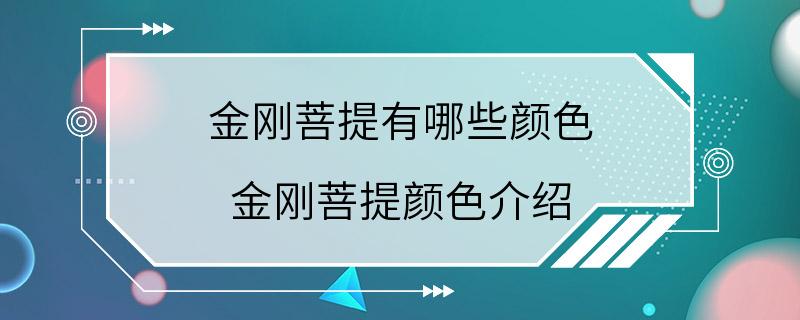 金刚菩提有哪些颜色 金刚菩提颜色介绍