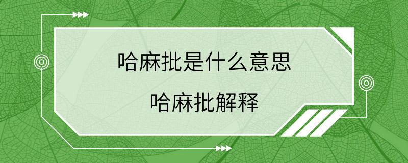 哈麻批是什么意思 哈麻批解释