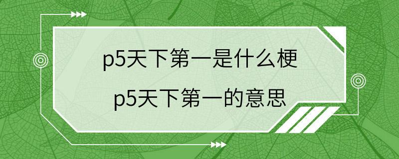 p5天下第一是什么梗 p5天下第一的意思