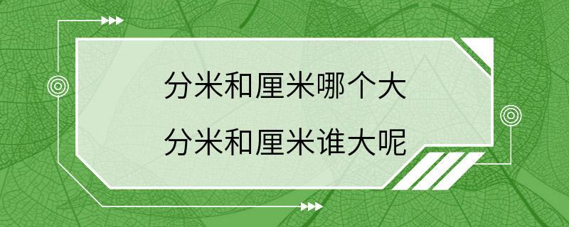 分米和厘米哪个大 分米和厘米谁大呢