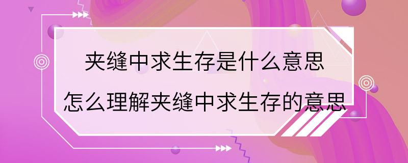 夹缝中求生存是什么意思 怎么理解夹缝中求生存的意思