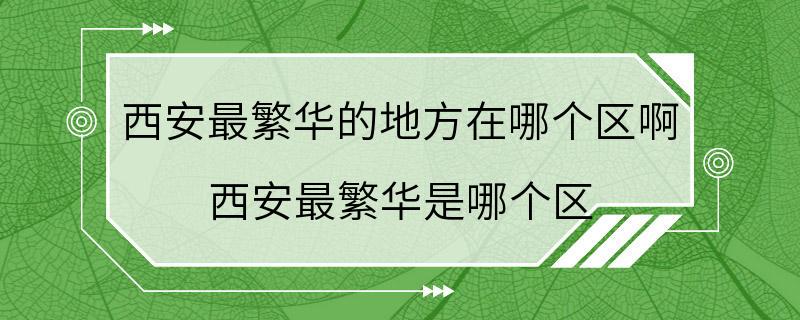 西安最繁华的地方在哪个区啊 西安最繁华是哪个区