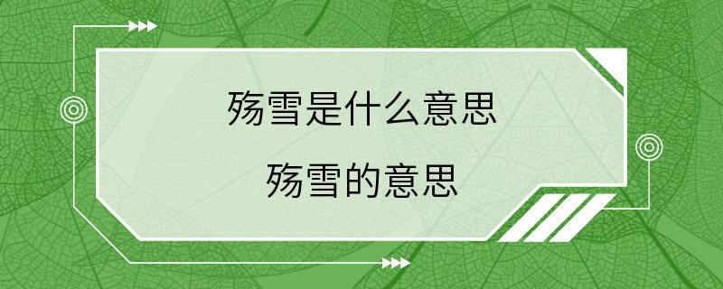 殇雪是什么意思 殇雪的意思