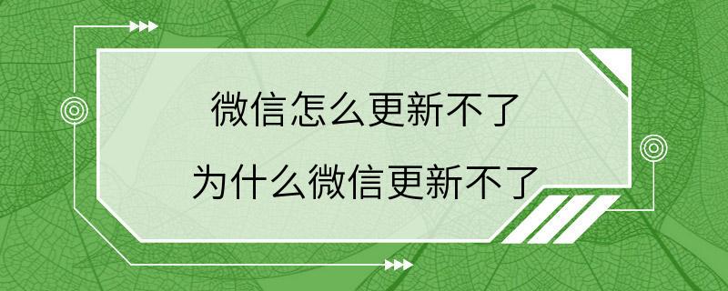 微信怎么更新不了 为什么微信更新不了