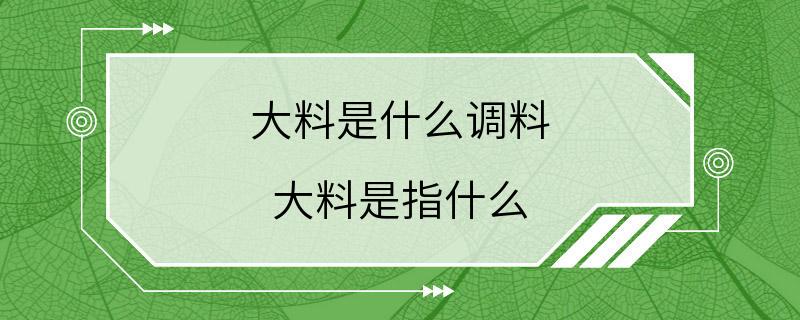 大料是什么调料 大料是指什么