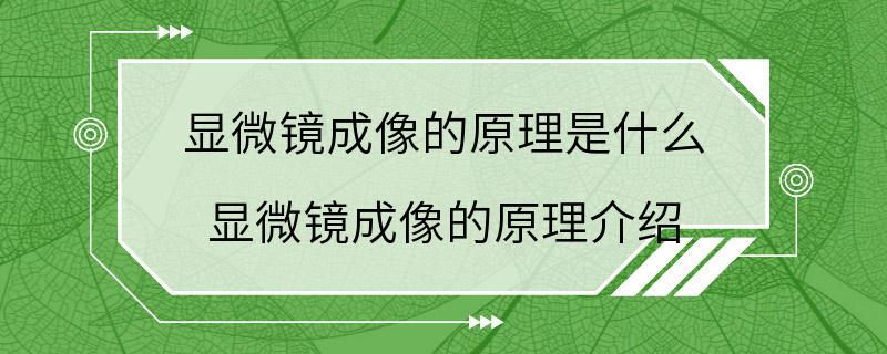 显微镜成像的原理是什么 显微镜成像的原理介绍