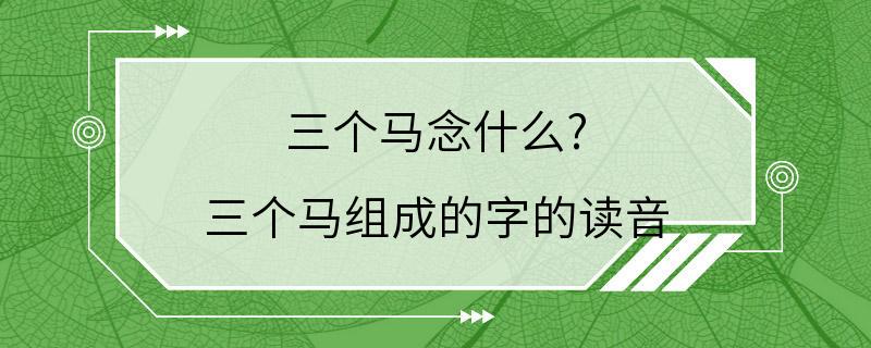 三个马念什么? 三个马组成的字的读音