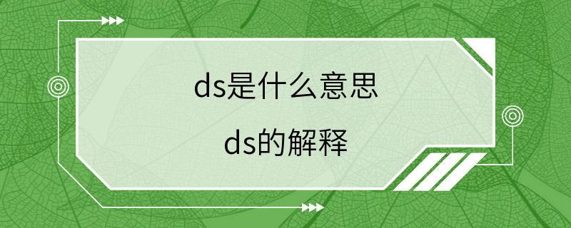 ds是什么意思 ds的解释