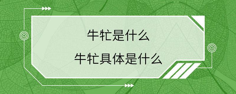 牛牤是什么 牛牤具体是什么