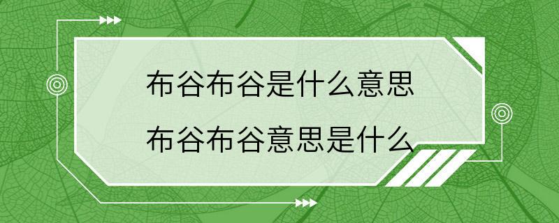 布谷布谷是什么意思 布谷布谷意思是什么