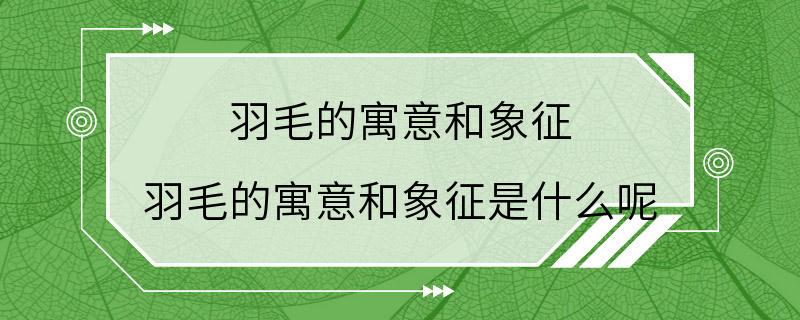 羽毛的寓意和象征 羽毛的寓意和象征是什么呢