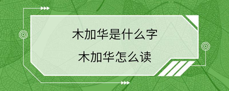 木加华是什么字 木加华怎么读