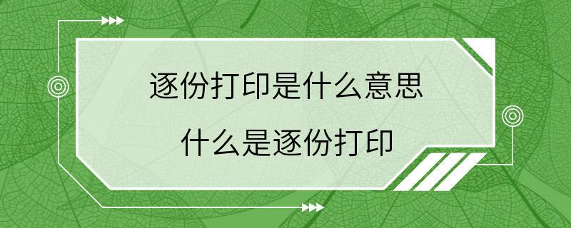 逐份打印是什么意思 什么是逐份打印