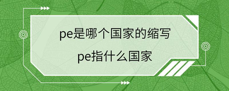 pe是哪个国家的缩写 pe指什么国家