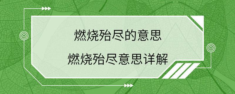 燃烧殆尽的意思 燃烧殆尽意思详解