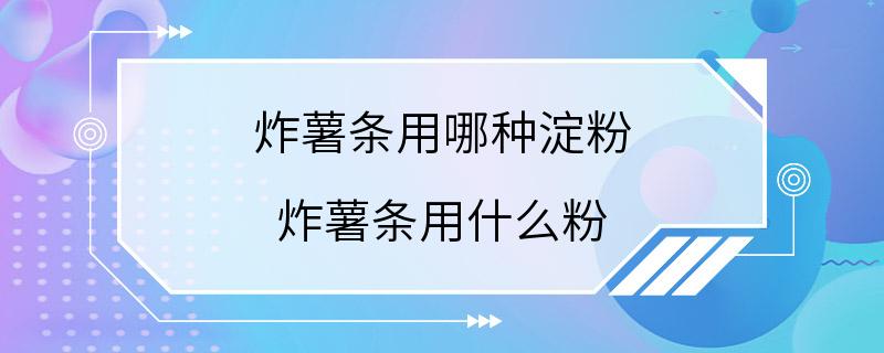 炸薯条用哪种淀粉 炸薯条用什么粉