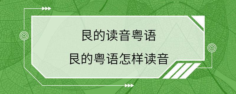 艮的读音粤语 艮的粤语怎样读音