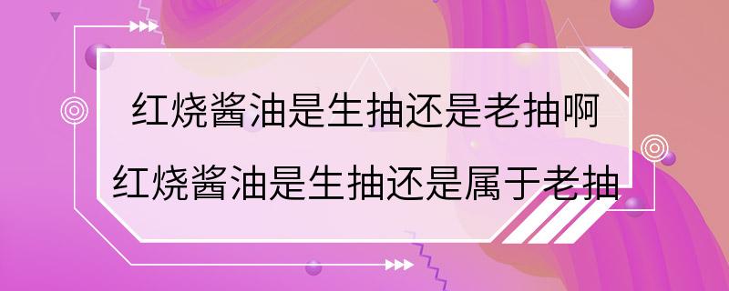 红烧酱油是生抽还是老抽啊 红烧酱油是生抽还是属于老抽