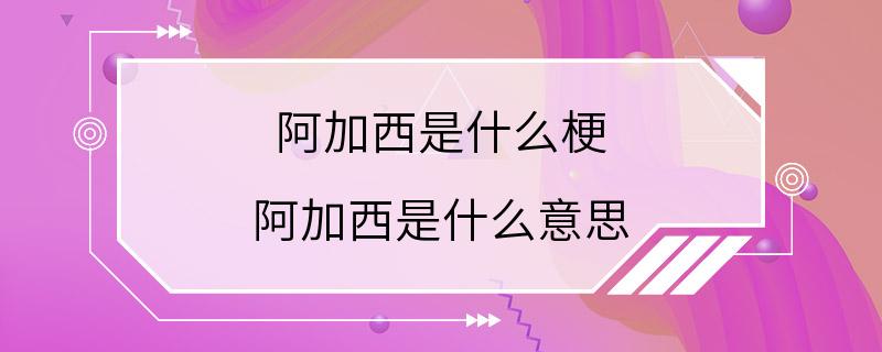 阿加西是什么梗 阿加西是什么意思