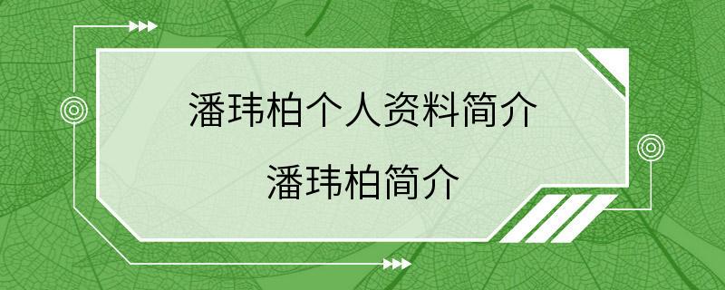 潘玮柏个人资料简介 潘玮柏简介