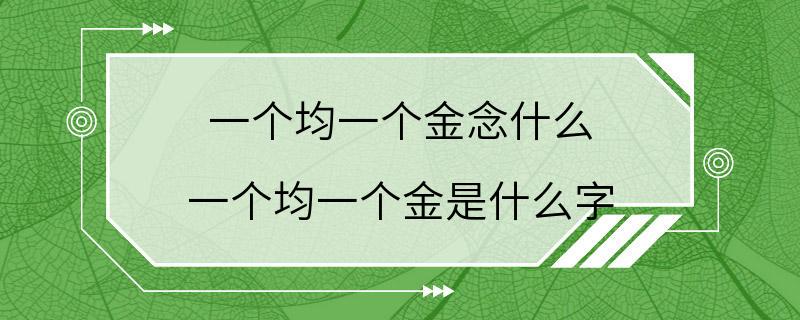 一个均一个金念什么 一个均一个金是什么字