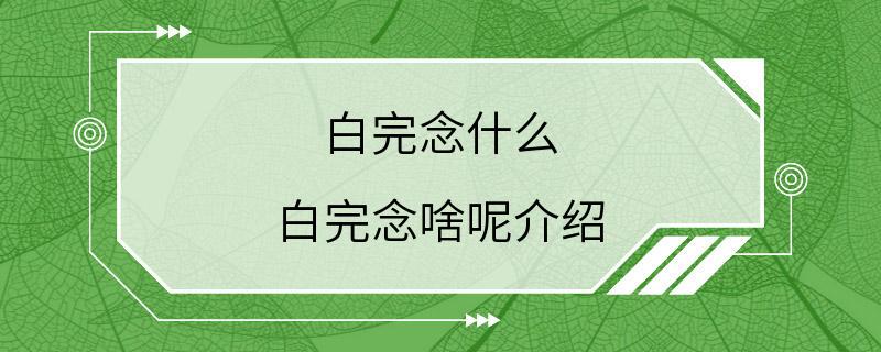 白完念什么 白完念啥呢介绍