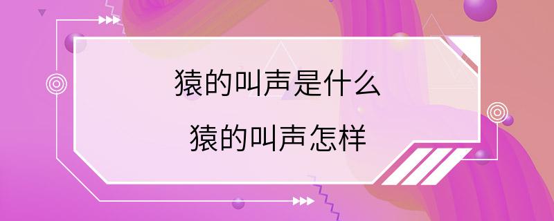 猿的叫声是什么 猿的叫声怎样